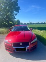 Jaguar XE E-Performance 163PS Pure Automatik Pure - Jaguar: Performance