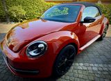 Volkswagen Beetle 1.2 BMT, DSG, CLUB Cabrio | Traumzustand! - Volkswagen Beetle aus 2015