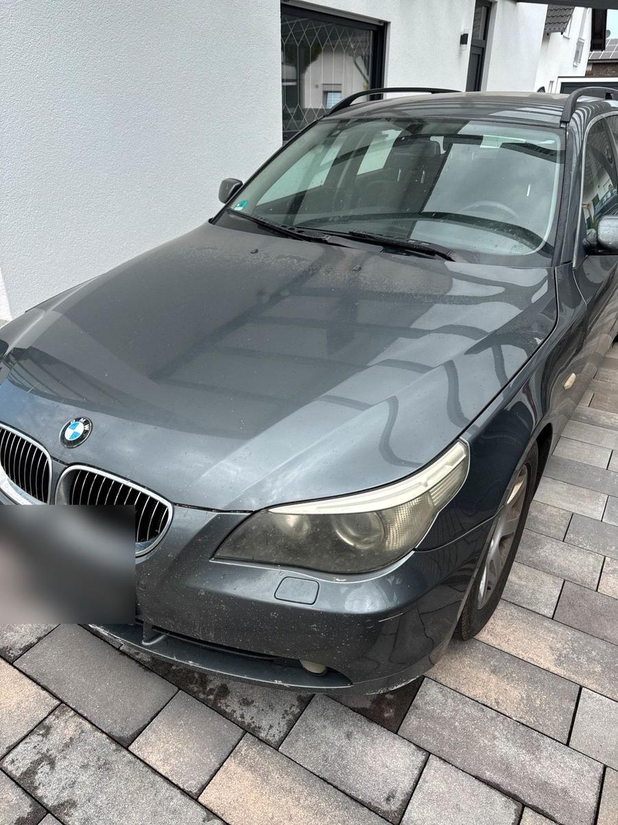 BMW 525 2006 — вигляд ззаду