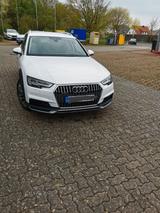Audi A4 Allroad 3.0 TDI tiptronic quattro Avant - - weiße Audi A4 Allroad