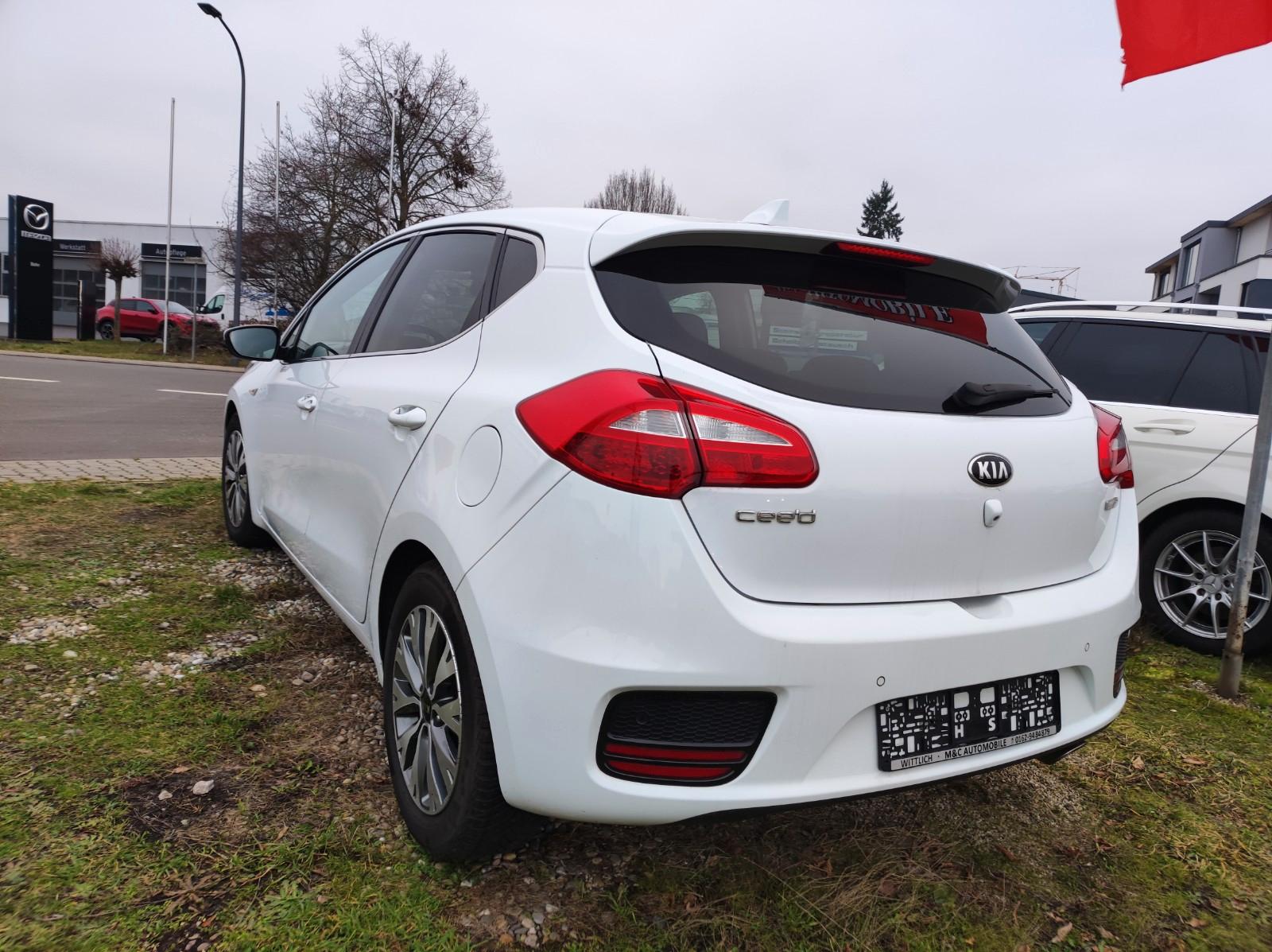 Kia Ceed Dream Team