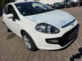 Fiat Punto 1.2 8V POP Tüv Neu - Fiat Punto: 1.2