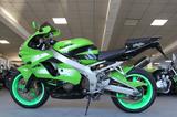 Kawasaki ZX-9R Ninja limegreen 82er Sitzhöhe Topzustand! - Kawasaki Motorräder in Bochum
