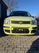 Fiat Panda 1.2 8V Dynamic - Fiat Panda in Erfurt