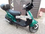 Hercules Executive SR 125/Toronto grün - Offers