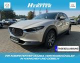 Mazda CX-30 X 186PS EXCLUSIVE-L MATRIX BOSE E-HECKKL S