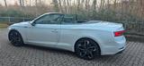 Audi A5 45 TFSI S tronic quattro - Audi A5 in Wuppertal