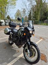 Triumph Tiger 955i - TRIUMPH TIGER 955I
