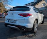 Alfa Romeo Stelvio 2.0 Turbo 280 PS | Q4 Veloce | AHK | SH  - Alfa Romeo aus 2018