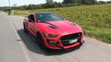 Ford Mustang 5.0 Ti-VCT V8 GT Auto GT - Ford Mustang: Rot