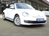 Volkswagen Beetle Cabriolet  1.2 TSI Navi PDC Sound Sys.
