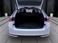 Skoda Octavia - Vorschau Bild 5