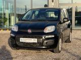 Fiat Panda 1.2 Pop Klima Bluetooth Scheckheftgepflegt - Fiat Panda: 1.1