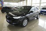 Ford Kuga 1,5 186PS Aut.Kamera/LED/Navi/Winterp. - Ford Kuga Tageszulassungen