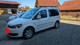 Volkswagen Caddy Edition 30 mit Camperbox - : Kombi, Camper