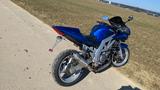 Suzuki SV 650 S Bj. 2003 - Offers matching your search criteria