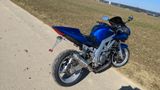 Suzuki SV 650 S Bj. 2003 - SUZUKI SPORTLER 650 SV