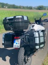 Triumph Tiger 900 GT PRO Scheckh., Koffer, Griff/Sitzh.  - TRIUMPH 900