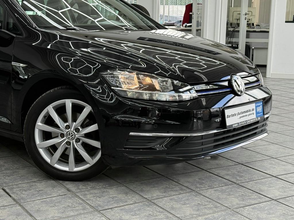 Volkswagen Golf VII 1.5 TSI IQ.DRIVE, Standheiz., ACC, Navi