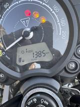 Triumph Scrambler 900 CHROME EDITION BROOKLANDS GREEN - TRIUMPH ENDURO SCRAMBLER