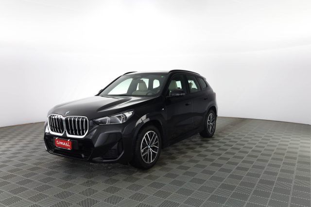 Andere BMW X1 X1 xDrive 20d Msport