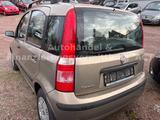 Fiat New Panda 1.2 8V  Dynamic *KLIMA*KEIN ROST* - Fiat New Panda mit Benzin-Antrieb: Limousine, Schaltgetriebe