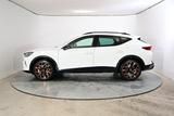 Cupra Formentor VZ 2.0 TSI 7-Gang-DSG 4Drive 245 kW... - Cupra Formentor in Rostock