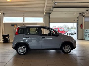 Bild 6 Fiat Panda Base 1.0 Mild Hybrid DAB Klima BT teilb.Rü