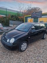 Volkswagen Polo IV Cricket - Volkswagen Polo: Cricket