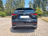 Lexus NX 300h E-FOUR Luxury Line   - Lexus: 300h