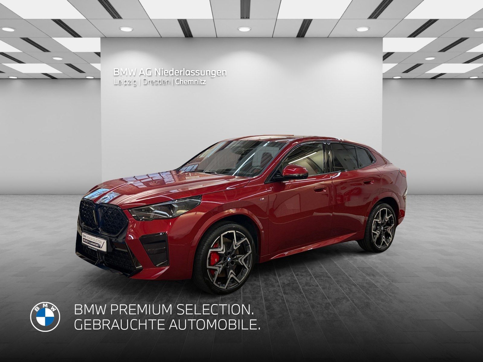 BMW X2 xDrive20d M Sport Driv.Assist.Prof Head-Up