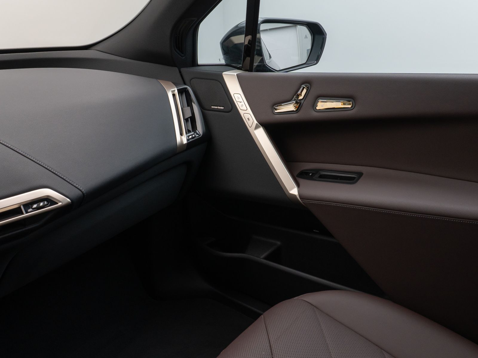 Fahrzeugabbildung BMW iX xD40 Sport DAB SoftClose SkyLounge H/K 21Zoll
