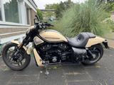 Harley-Davidson VRSCDX - Harley-Davidson Motorräder in Düsseldorf