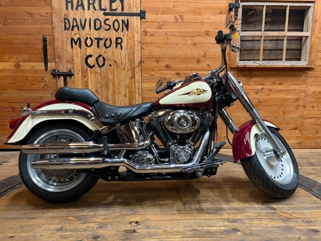 Harley-Davidson FLSTF FAT Boy Softail Fatboy Special Paint