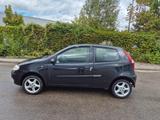 Fiat Punto 1.2 8V Dynamic - Fiat Punto Gebrauchtwagen in Stuttgart
