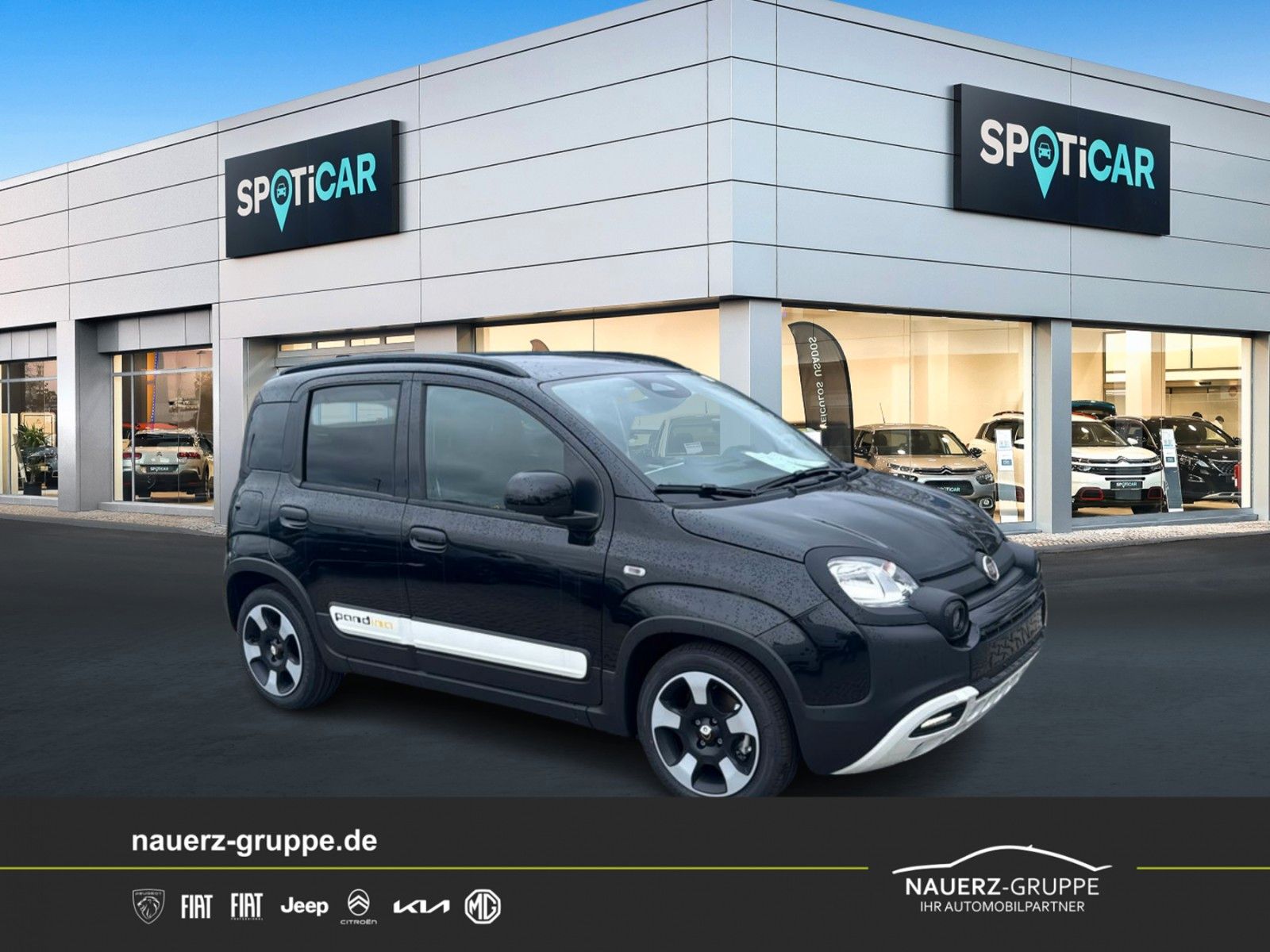 Fahrzeugabbildung Fiat Panda Pandina Cross