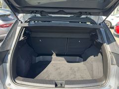 Fahrzeugabbildung Austral Evolution 160 Mild Hybrid Automatik