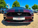 Ford Mustang 2.3 / Facelift / Night Edit. / Sitzklima - Ford in Leipzig