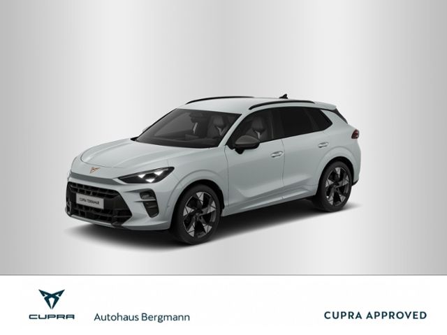 Image of Cupra Terramar