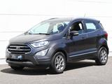 Ford Ecosport 1.0 EB Titanium Navi Teilleder - graue Ford EcoSport