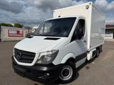 Mercedes-Benz Sprinter 311 CDI*Kühlkoffer*Klima*Carrier*Strom - Offers matching your search criteria