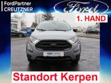 Ford EcoSport Active 1.0 EcoBoost EU6d Navi ,Klima,Xe - Ford EcoSport: Active