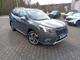 Subaru Forester 2,0 ie-Boxer Platinum Leder / Pano - Subaru Forester Platinum mit Benzin-Antrieb