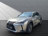 Lexus UX 250h*EXECUTIVE*PREMIUM* SCHIEBED.*15J-GARANTI - Lexus aus 2023