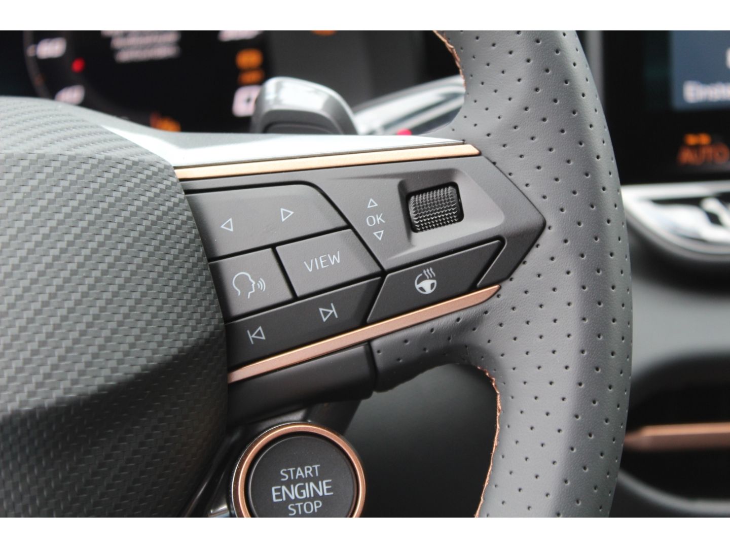 Cupra Terramar - Bild 9