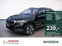 Skoda Karoq - Vorschau Bild 1