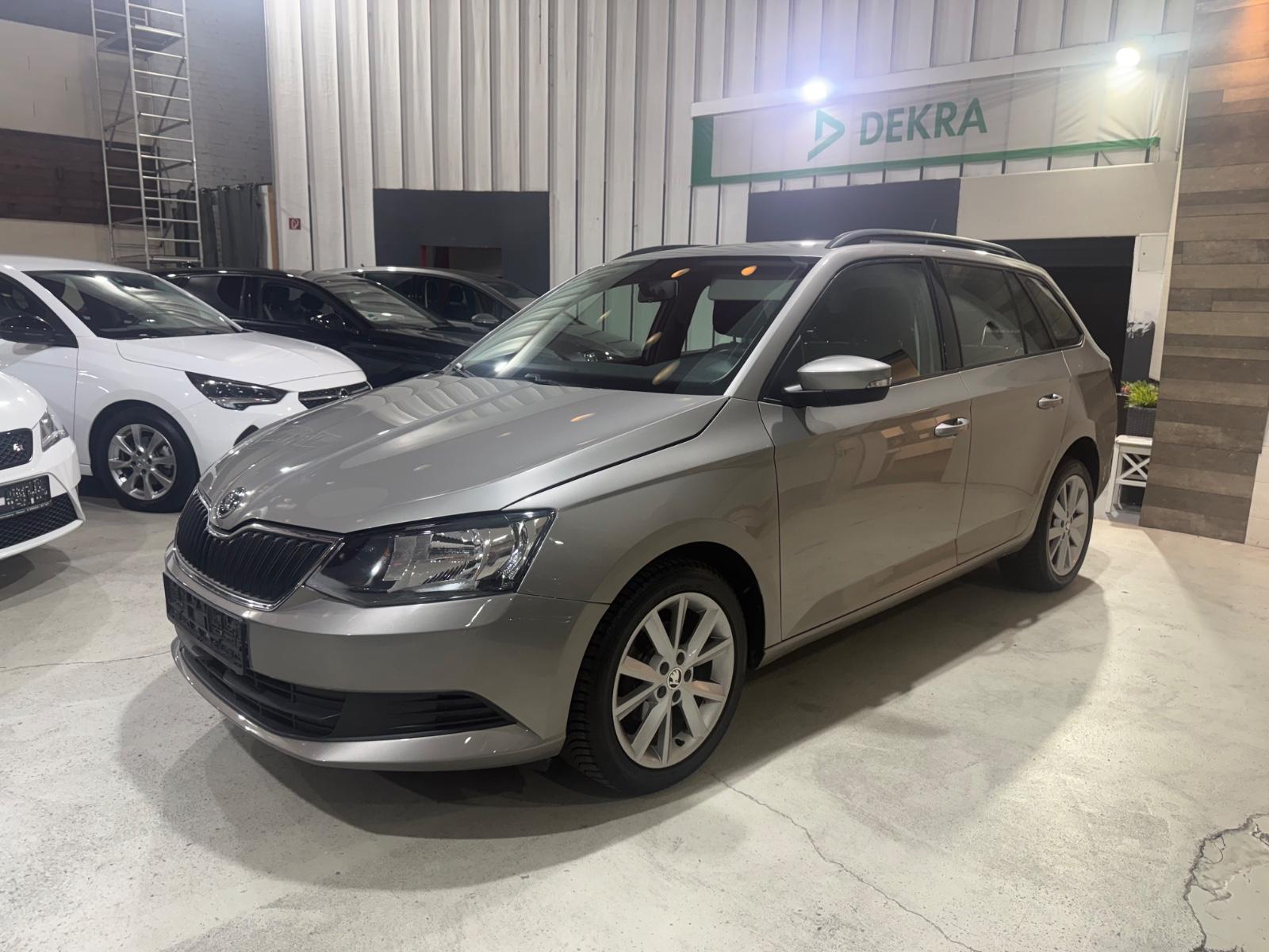 Skoda Fabia Combi Ambition 1.Hand Alu Allwetter
