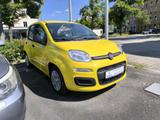 Fiat Panda Pandina Icon Hybrid - Fiat Panda in Chemnitz