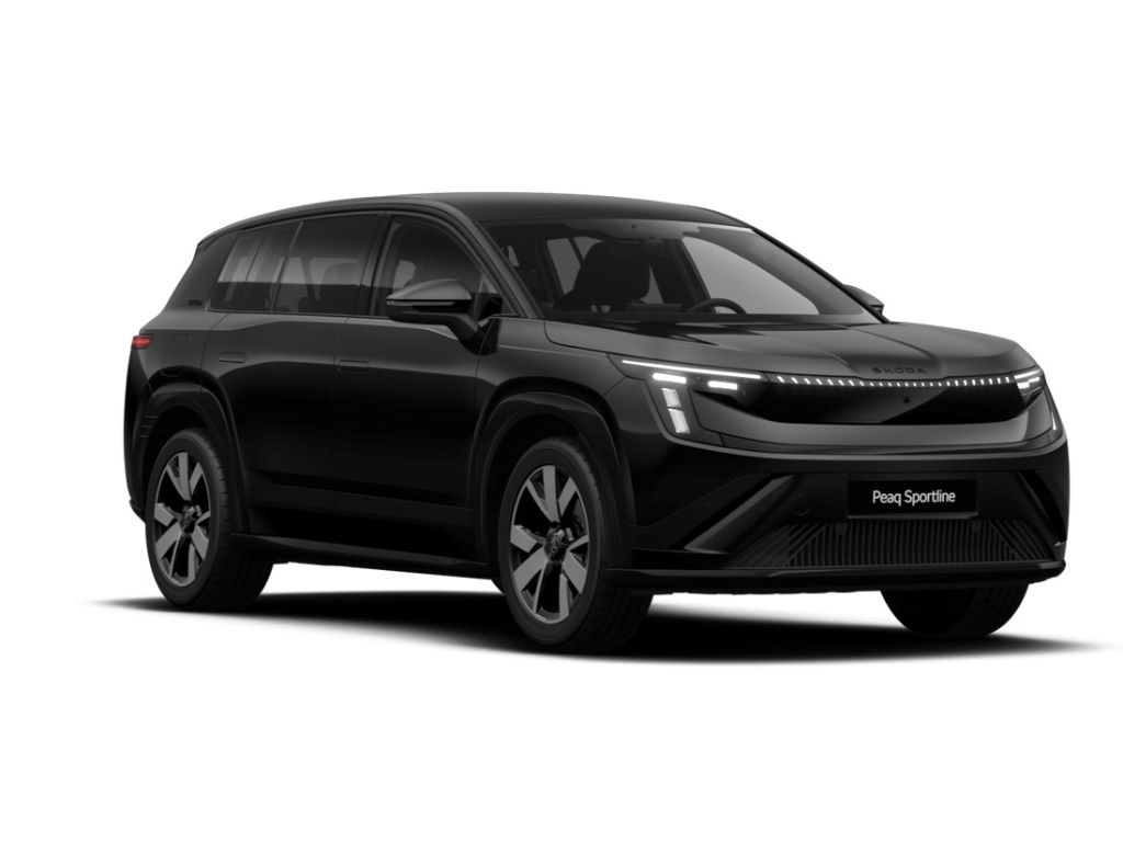Peaq Sportline 90 7Sitze*360*AHK*Winter*ACC+MTRX