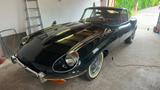 Jaguar E-Type Serie II 4.2L Manual 2. Hand Sammlerhand